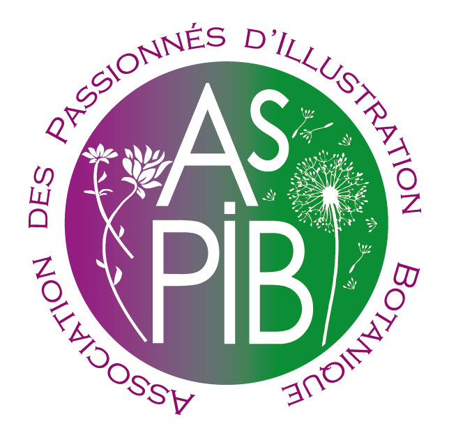 Logo AsPIB Association des Passionnés d'Illustration Botanique et Naturaliste
