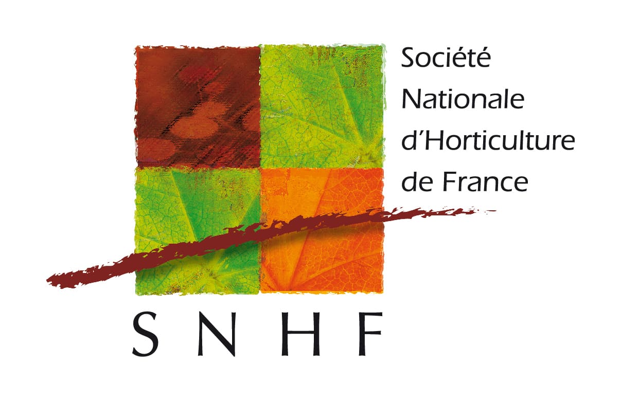 Logo snhf