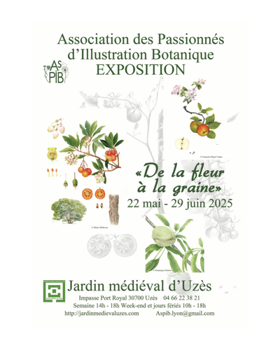 Exposition De la Fleur à la Graine Uzès AsPIB