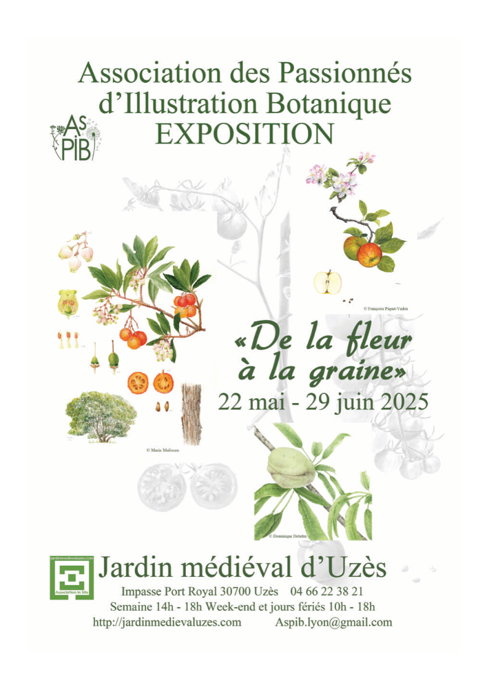 Exposition De la Fleur à la Graine Uzès AsPIB