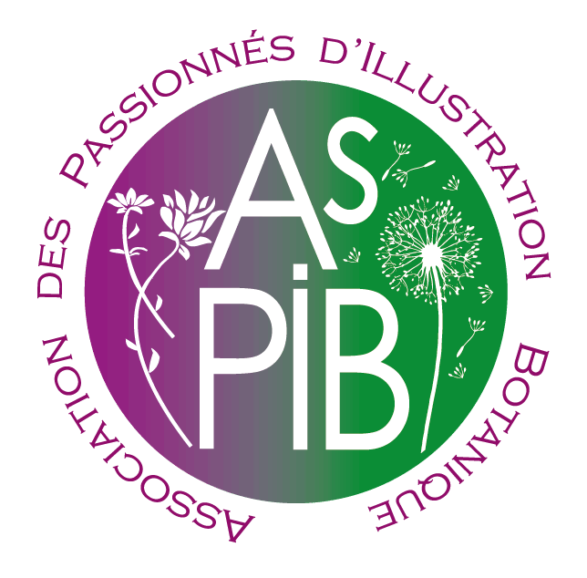Logo AsPIB Association des Passionnés d'Illustration Botanique et Naturaliste