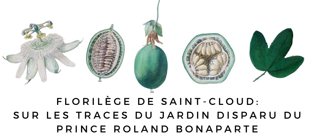 Florilège Bonaparte