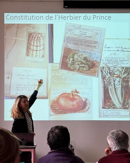 Rencontres AsPIB herbier de Lyon