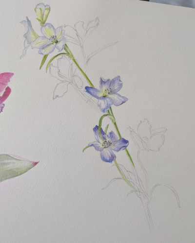 Rencontres virtuelles AsPIB Aquarelle de Caroline Dumuys-Babian