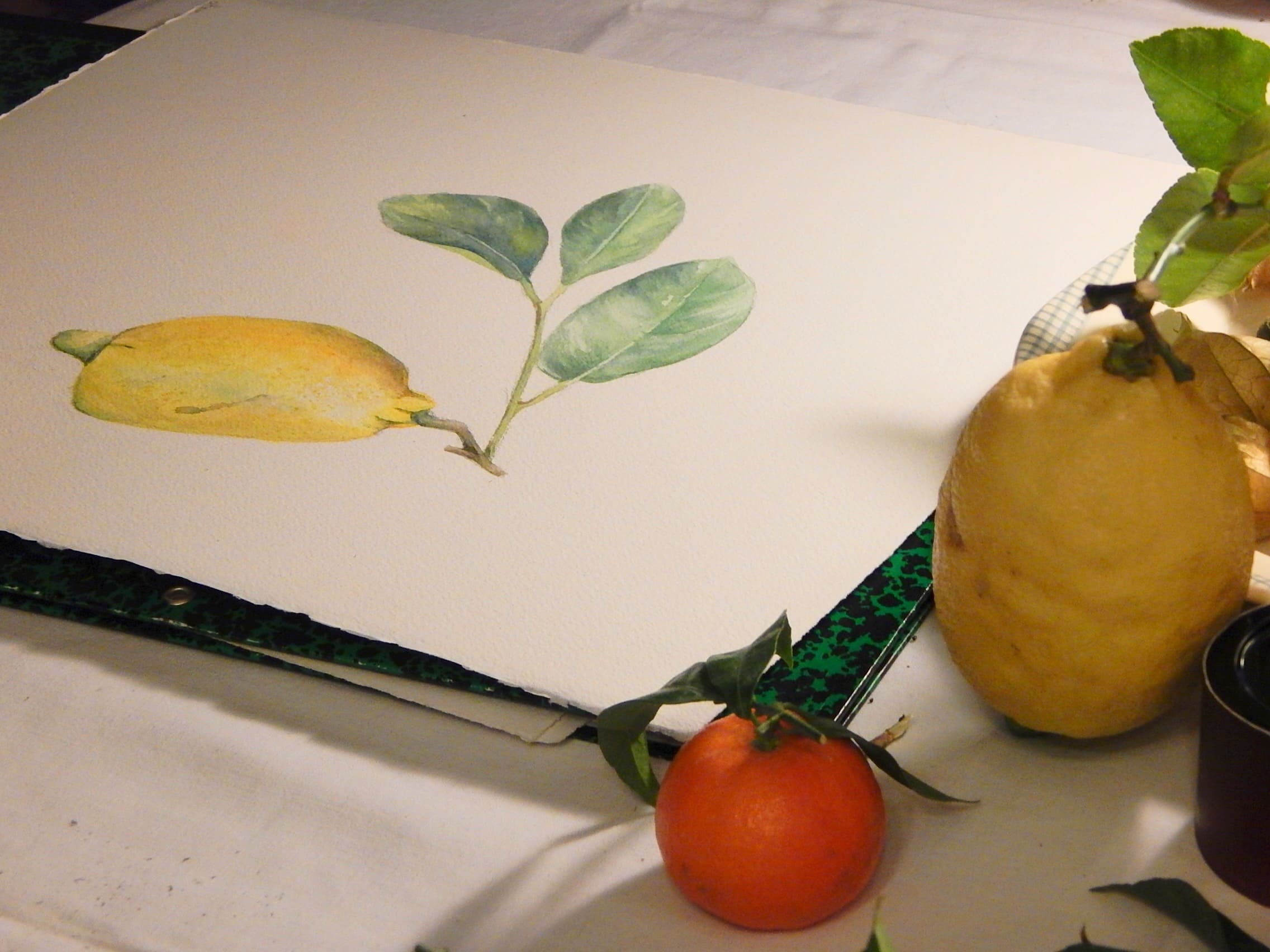 atelier Catherine Delhom